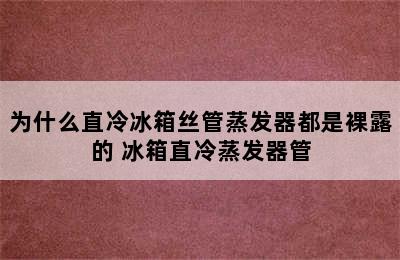 为什么直冷冰箱丝管蒸发器都是裸露的 冰箱直冷蒸发器管